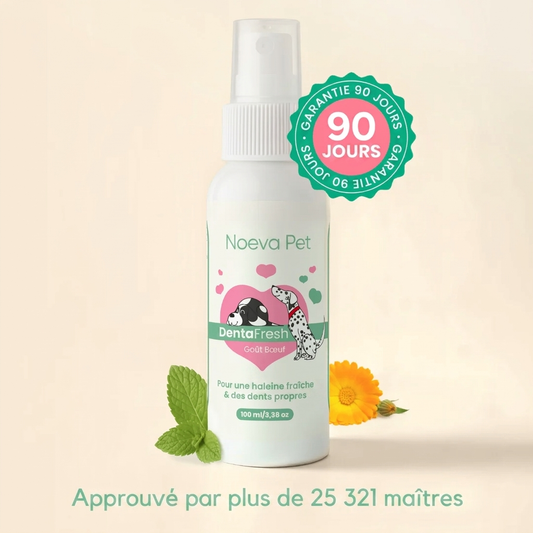 Spray Dentaire Noeva Pet