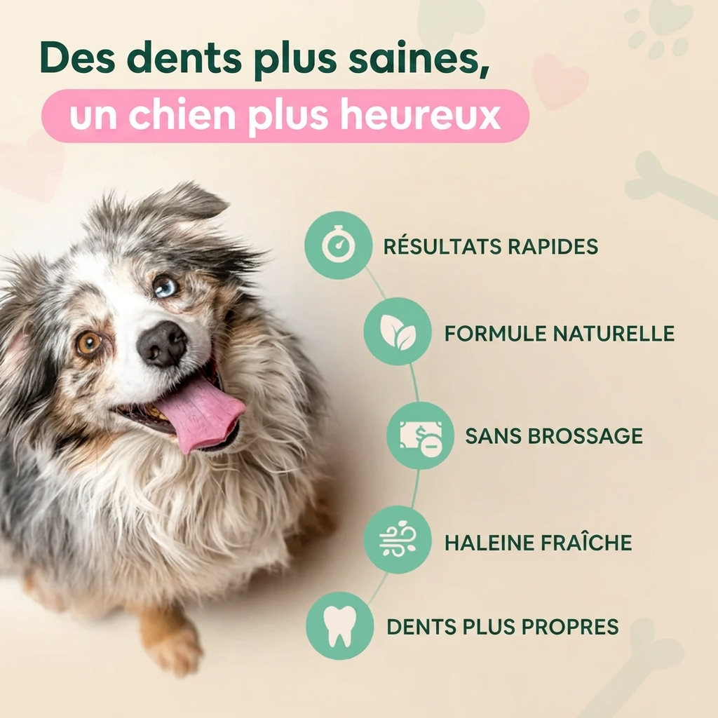 Spray Dentaire Noeva Pet